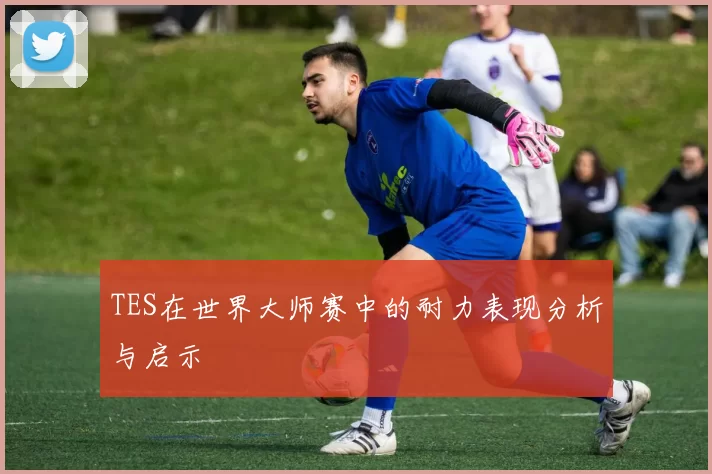 TES在世界大师赛中的耐力表现分析与启示