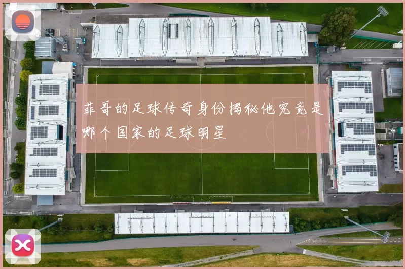菲哥的足球传奇身份揭秘他究竟是哪个国家的足球明星