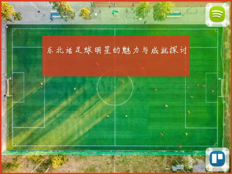 东北话足球明星的魅力与成就探讨