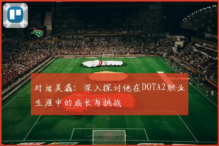 对话吴磊：深入探讨他在DOTA2职业生涯中的成长与挑战