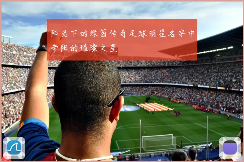 阳光下的绿茵传奇足球明星名字中带阳的璀璨之星