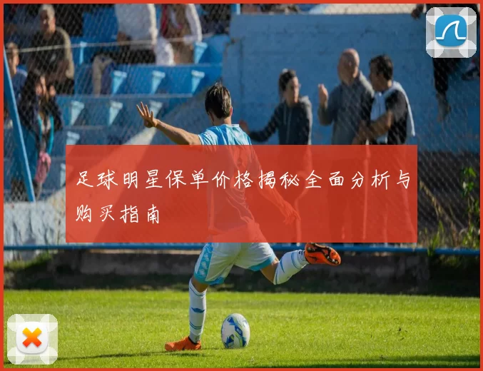 足球明星保单价格揭秘全面分析与购买指南