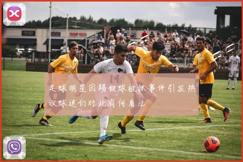 足球明星因踢假球被抓事件引发热议球迷们对此有何看法