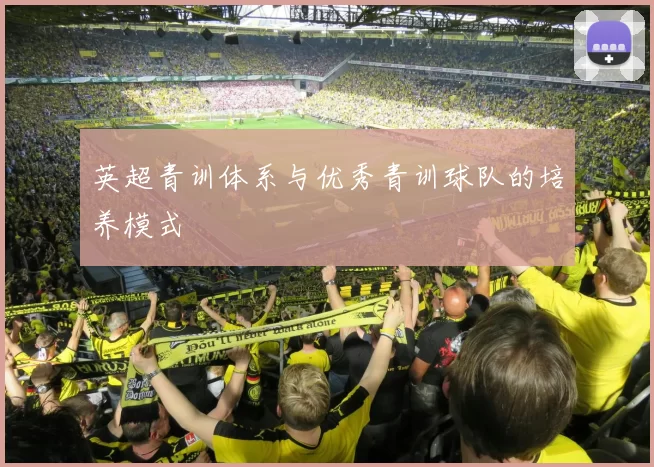 英超青训体系与优秀青训球队的培养模式