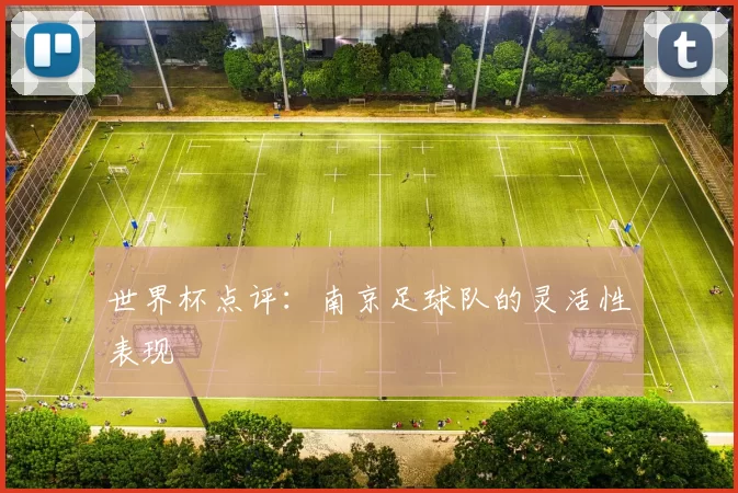 世界杯点评：南京足球队的灵活性表现