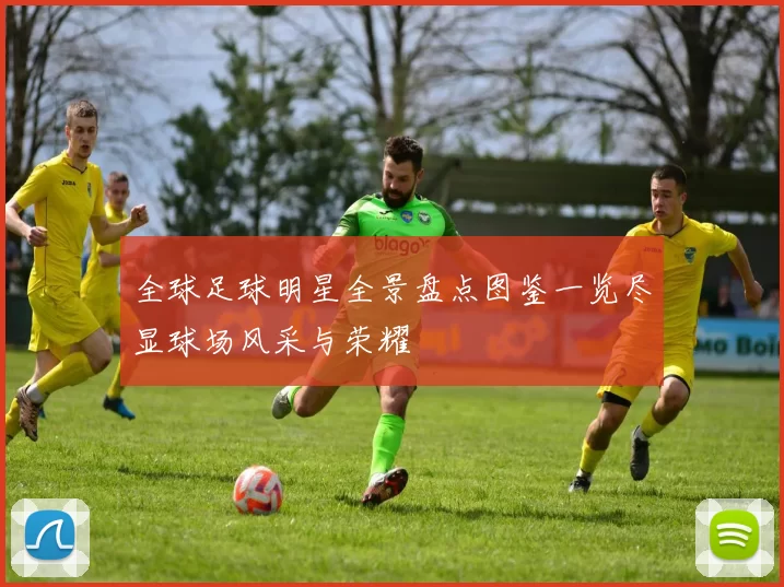 全球足球明星全景盘点图鉴一览尽显球场风采与荣耀