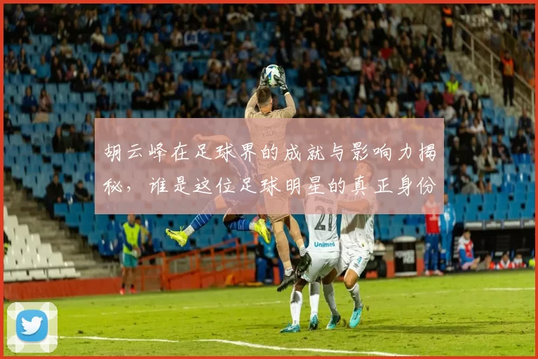 胡云峰在足球界的成就与影响力揭秘，谁是这位足球明星的真正身份
