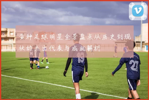 黄种足球明星全景盘点从历史到现状的杰出代表与成就解析